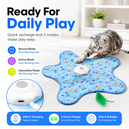 Interactive Hide-And-Seek Cat Play Mat